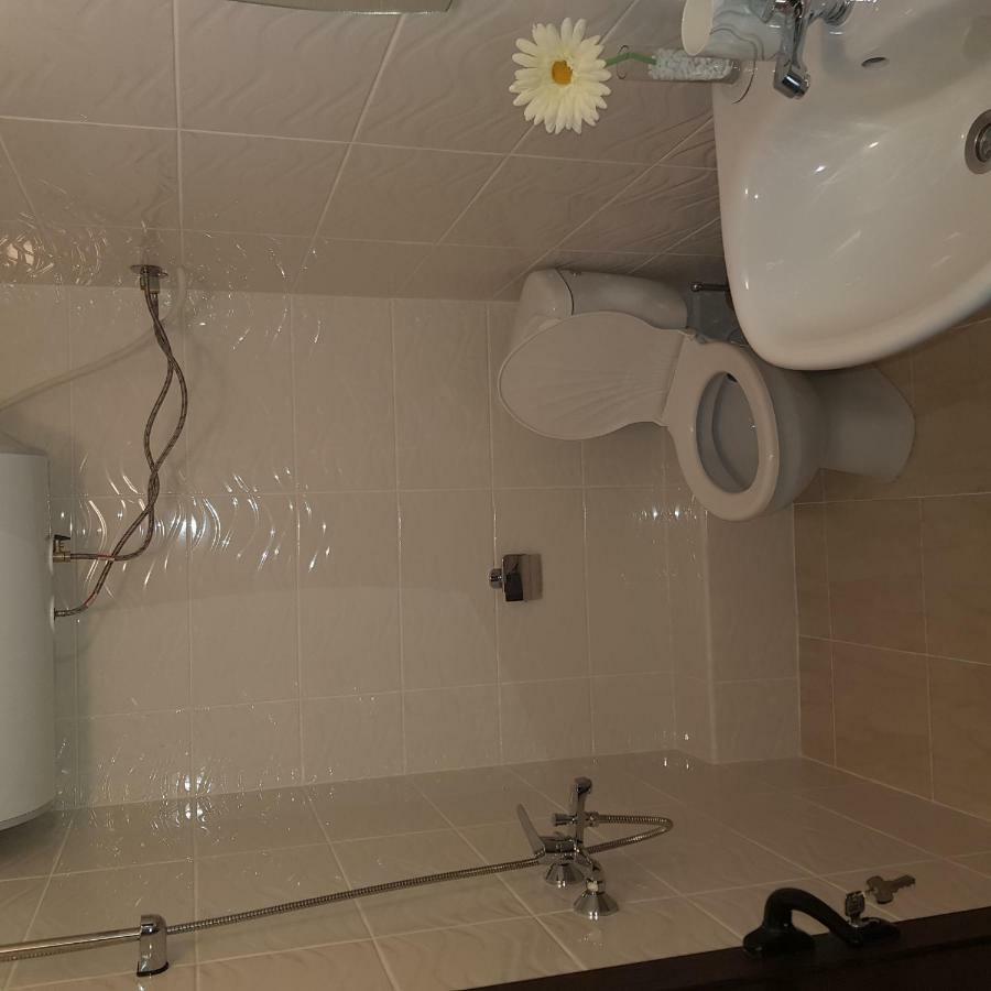 Guest House Ileana Sapareva Banya Exterior photo