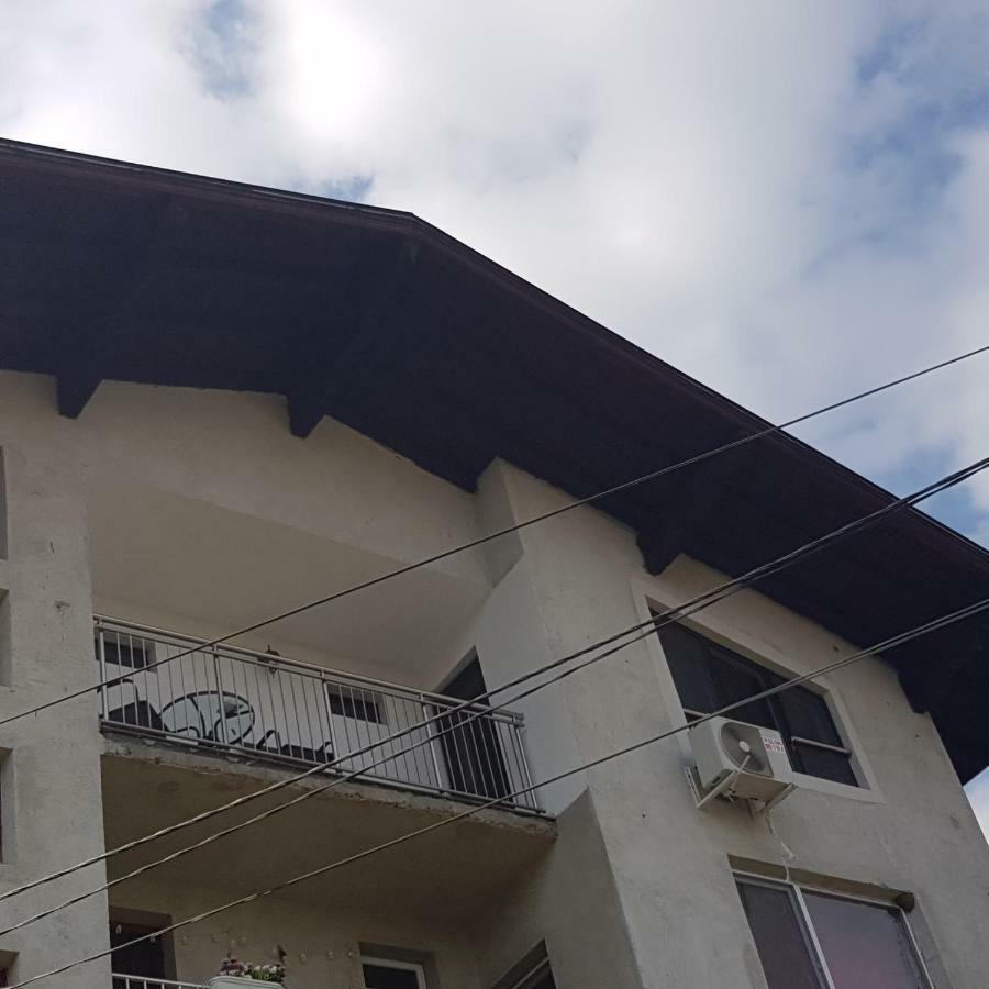 Guest House Ileana Sapareva Banya Exterior photo
